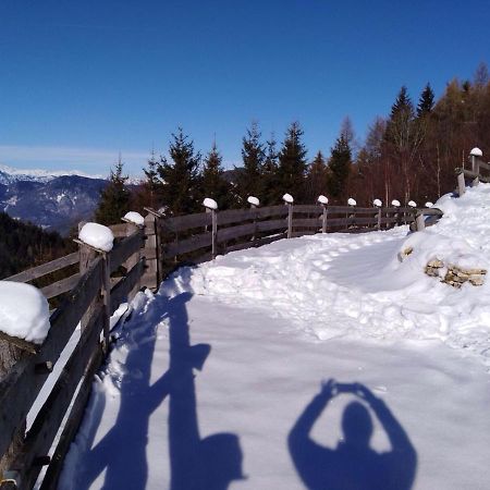 Baita Del Nonno Dei Pitoi Villa Bedollo Luaran gambar