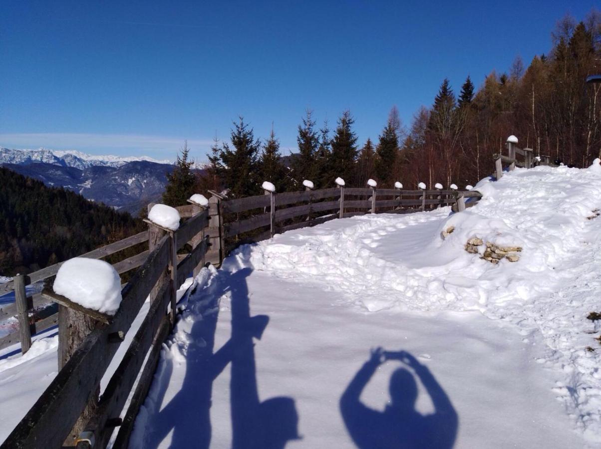 Baita Del Nonno Dei Pitoi Villa Bedollo Luaran gambar