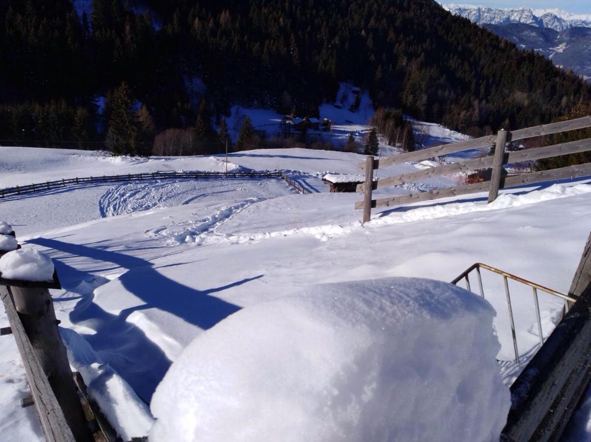 Baita Del Nonno Dei Pitoi Villa Bedollo Luaran gambar