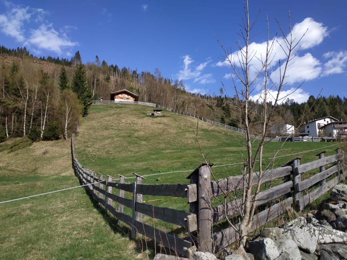 Baita Del Nonno Dei Pitoi Villa Bedollo Luaran gambar